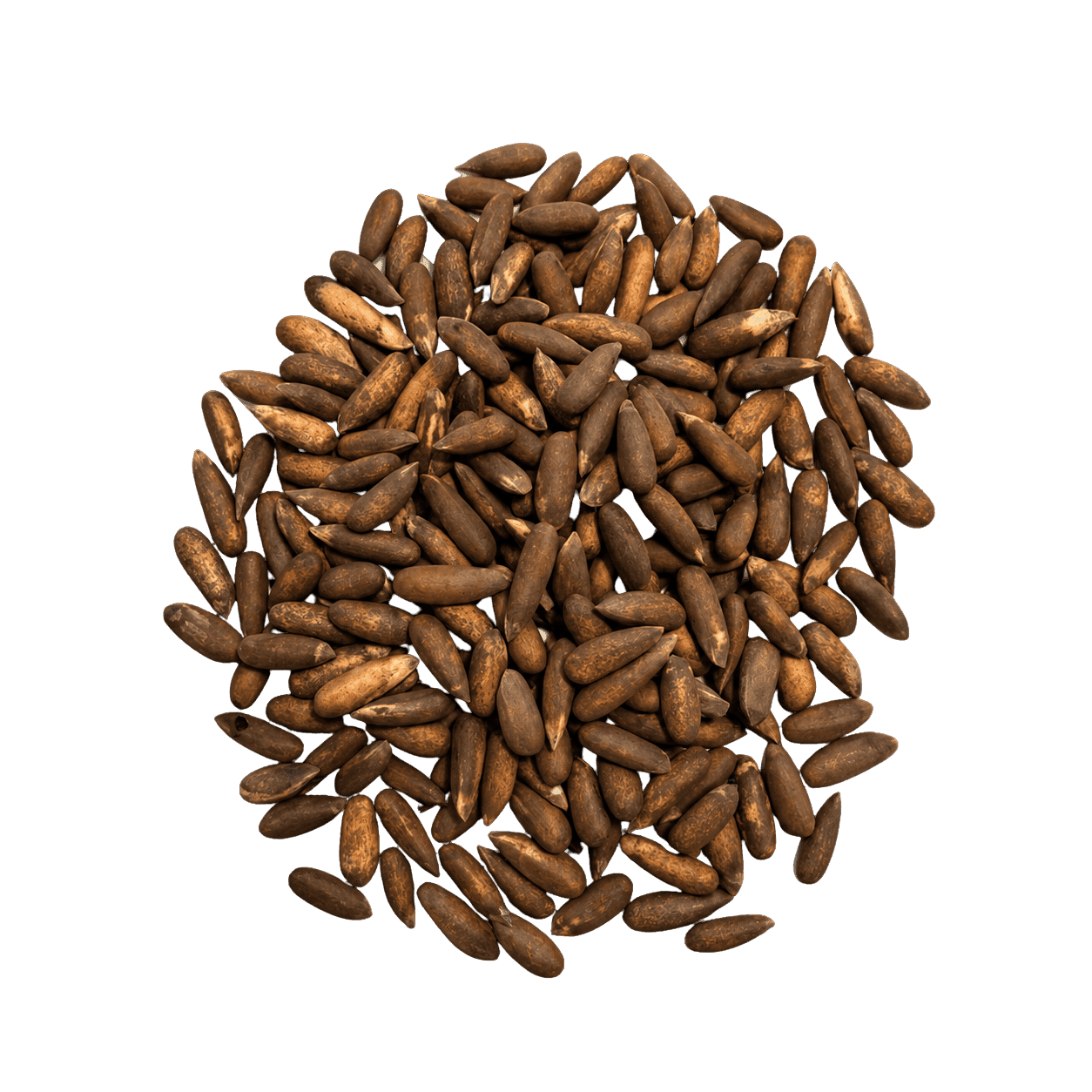 Pine Nuts Shirzad Dry Fruits packet